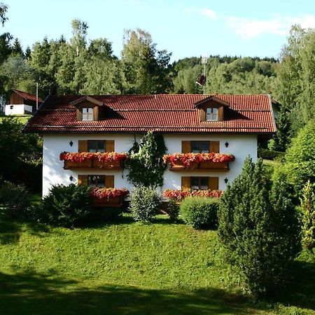 Ferienwohnungen Haus "Wildschuetz" Frauenau Exteriör bild