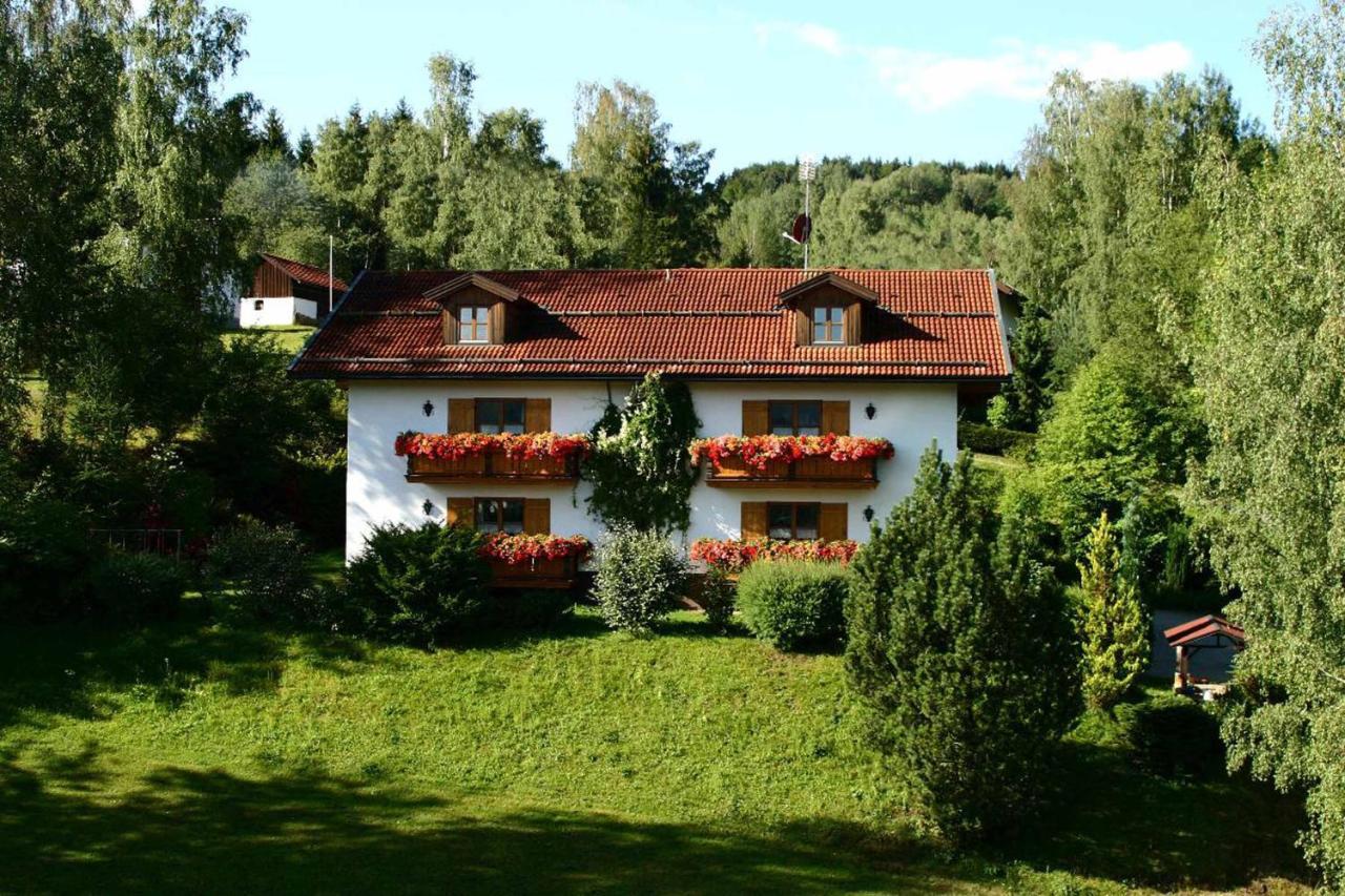 Ferienwohnungen Haus "Wildschuetz" Frauenau Exteriör bild