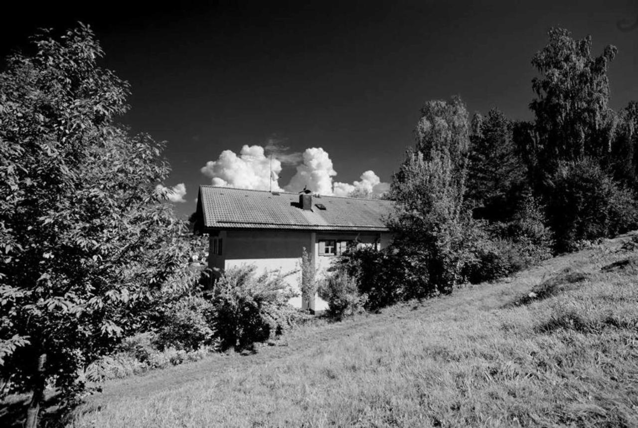 Ferienwohnungen Haus "Wildschuetz" Frauenau Exteriör bild