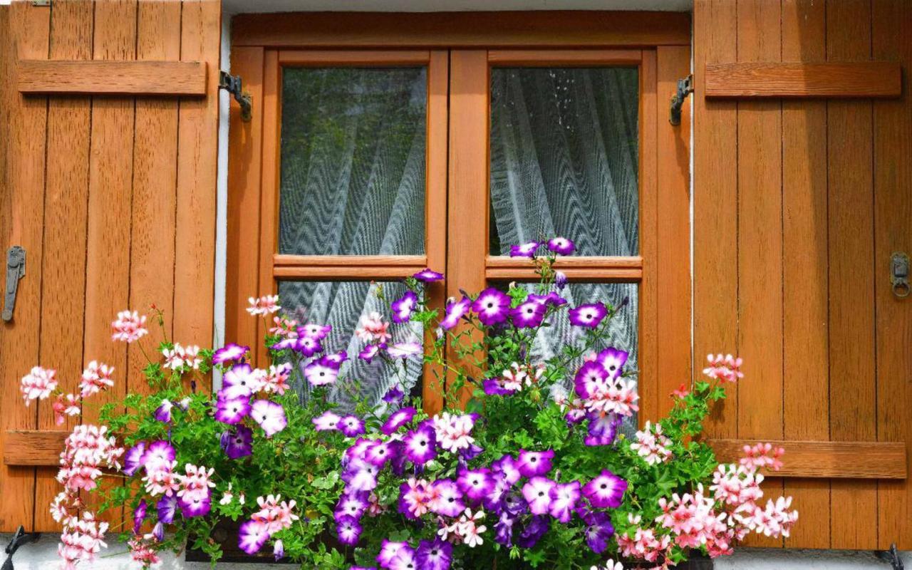 Ferienwohnungen Haus "Wildschuetz" Frauenau Exteriör bild
