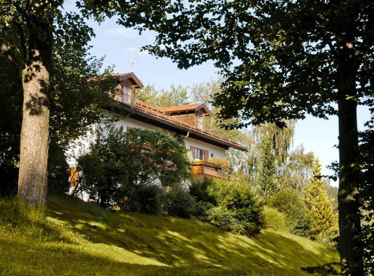 Ferienwohnungen Haus "Wildschuetz" Frauenau Exteriör bild